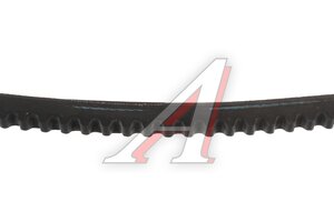 Ремень приводной клиновой 10х1500 KORTEX KDB163STD, 10х1500