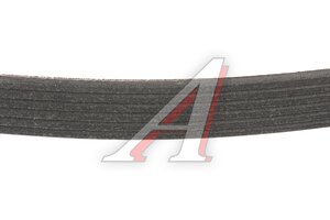 Ремень приводной поликлиновой 6PK1213 FORD Focus 2 (1.8) генератора MICHELIN 6PK1249E