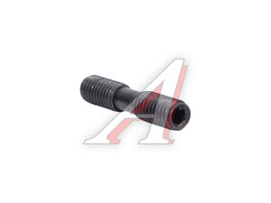 Винт ML0630 1шт AR-ML0630