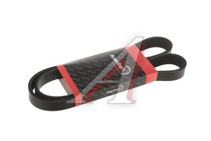 Ремень приводной поликлиновой 6PK1113 KORTEX KDB064STD, 6PK1113