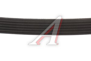 Ремень приводной поликлиновой 6PK1053 KORTEX KDB234STD, 6PK1053