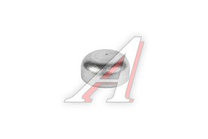 Заглушка ГАЗ,ПАЗ,КАМАЗ Cummins головки блока d=10м 3900955