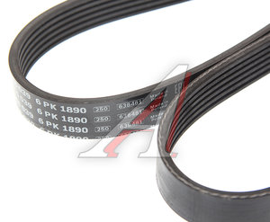 Ремень приводной поликлиновой 6PK1890 BOSCH 1987946039