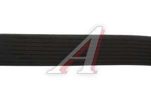 Ремень приводной поликлиновой 8PK1635 KORTEX KDB097STD, 8PK1635