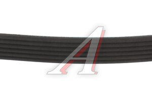 Ремень приводной поликлиновой 6PK1113 KORTEX KDB064STD, 6PK1113