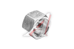 Гайка N DS16 24x1.5 CST 100219