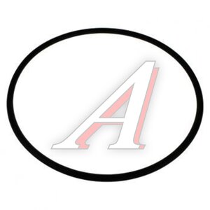 Кольцо Гейзер уплотнительное для корпуса ИНЕЙ 23239