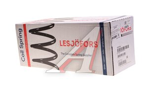 Пружина FORD Focus (98-04) подвески задней LESJOFORS 4227579