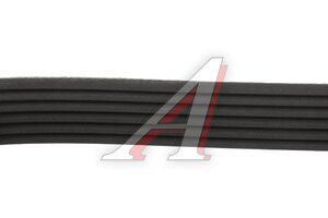 Ремень приводной поликлиновой 6PK1520 FORD Focus 2 MICHELIN 6PK1520, 1987948425
