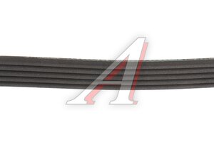 Ремень приводной поликлиновой 5PK1243 MITSUBISHI Lancer (07-14) генератора MICHELIN 5PK1243, 1340A101