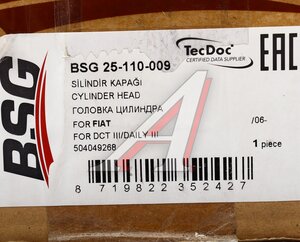 Головка цилиндра FIAT Daily BSG BSG25110009, 504049268
