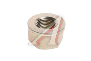 Гайка SITRAK HOWO штанги реактивной M24x2 OE ZQ32324T13F3