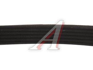 Ремень приводной поликлиновой 6PK2138 KORTEX KDB080STD, 6PK2138