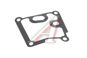 Прокладка FORD Focus радиатора масляного BSG BSG30116098, 1212742