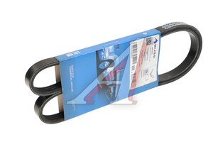Ремень приводной поликлиновой 4PK1100 SAMPA 061.476-01, 4PK1100, 3406800P31G3