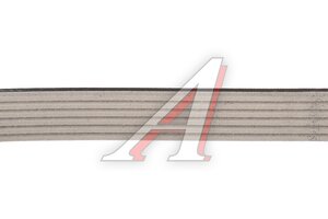 Ремень приводной поликлиновой 6PK1590 AUDI A4 (04-) MICHELIN 6PK1590