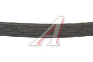 Ремень приводной поликлиновой 5PK1125 RENAULT Master (01-) (1.9 DCI) MICHELIN 5XPK1123, 5PK1125