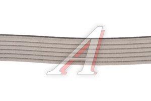 Ремень приводной поликлиновой 6PK1038 TOYOTA Camry (-06) MICHELIN 6PK1038, 1987946000