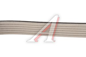 Ремень приводной поликлиновой 6PK1310 FORD Focus 2 MICHELIN 6PK1310