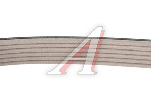 Ремень приводной поликлиновой 6PK1555 VW Caravelle,T5 MICHELIN 6PK1555, 1987947949
