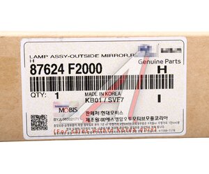 Повторитель поворота HYUNDAI Elantra (16-) правый (в зеркало) OE 87624-F2000