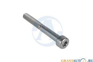 Винт М6х1х50 с головкой TORX TX30 нерж.А2 ISO14579 нерж.