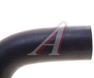 Патрубок HYUNDAI Matrix системы охлаждения STELLOX 10-35584-SX, 25480-23001