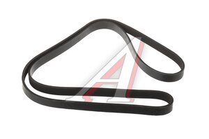 Ремень приводной поликлиновой 6PK1845 KORTEX KDB332STD, 6PK1845