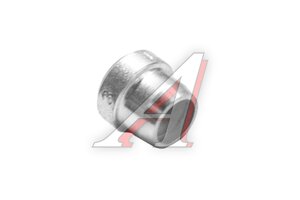 Кольцо R DL/DS6 CST 100104