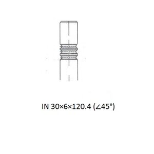 Клапан впускной FIAT Ducato (06-) ZIKMAR Z17491R, 504069199