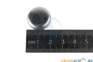 Заглушка ВАЗ-2121 КПП D=20 мм привода спидометра 2121-1702182