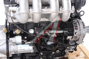 Двигатель ЗМЗ-40524 ГАЗ-3302,2217 ЕВРО-4 (ОАО ЗМЗ) № 040524-4620000-00, 40524.1000400-100/040524-4620000-00/040524462000000