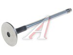 Клапан выпускной VW Jetta (06-11),Passat (06-11) AUDI A3 (05-08),A4 (01-05) ZIKMAR