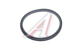 Кольцо уплотнительное FAW J7,4180, КАМАЗ АКПП ZF MOVELEX
