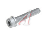 Болт VW Passat (90-97),Polo (97-02) AUDI A3 (05-08),A4 (99-08) шкива коленвала OE