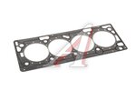 Прокладка головки блока CHEVROLET Cruze (09-) (1.6/1.8),Aveo (06-) (AF) DYG