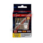 Лампа светодиодная 12V W21/5W W2.5x16q блистер (2шт.) XENITE