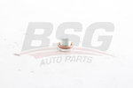Пробка PEUGEOT CITROEN картера двигателя BSG