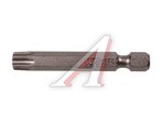 Бита TORX T40х50мм WHIRLPOWER