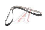 Ремень приводной поликлиновой 6PK1305 FORD C-Max,Focus 2 MICHELIN