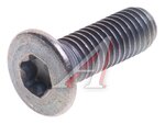 Винт М8х25 замка двери ГАЗ-3302 с потайной головкой под TORX (ОАО ГАЗ)