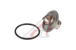 Термостат VW Golf (03-) (1.4) AUDI A3 (96-) (1.8),A6,TT (98-06) (1.8 T) (87C-102C) BORSEHUNG