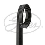 Ремень приводной поликлиновой 7DPK1884 BMW 5 (F10),7 (F01,F02),X5 (E70),X6 (E71) GATES