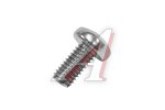 Винт М6х1х12 головка под TORX TX30 нерж.A2