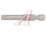 Бита TORX T30х50мм WHIRLPOWER