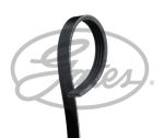 Ремень приводной поликлиновой 4PK1240 GATES