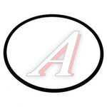 Кольцо Гейзер уплотнительное для корпуса ИНЕЙ