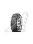 Шина ROADSTONE Winguard Ice 205/65 R16 R13077