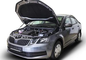 Амортизатор SKODA Octavia A7 (13-) капота (пружина газовая) комплект 2шт. АВТОУПОР USKOA7012, USCOCT012